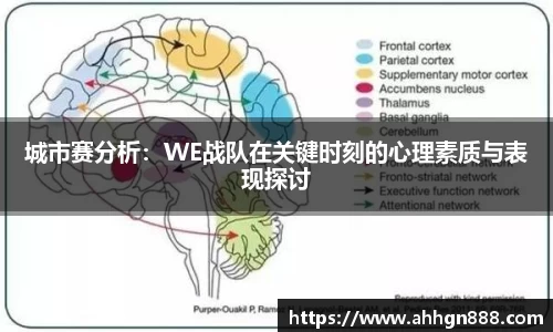 星空·综合体育官方网站