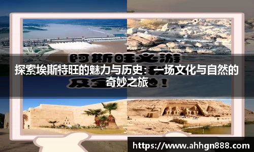 星空·综合体育官网
