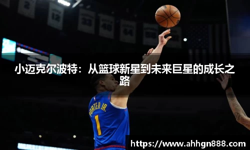 星空·综合体育官方网站